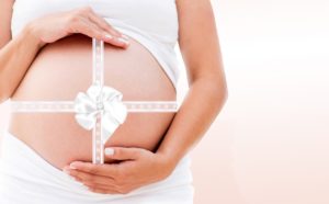 pregnancy trimesters